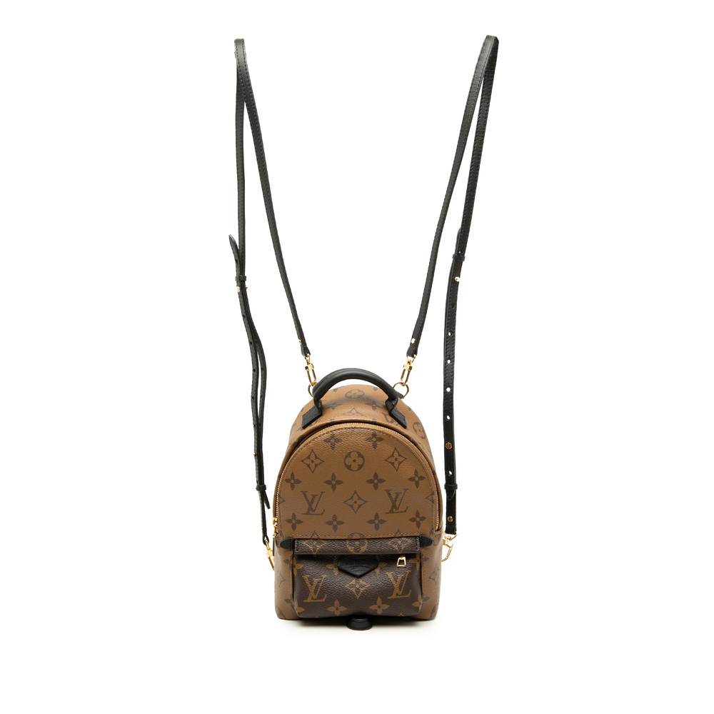 Pre-Loved Louis Vuitton Monogram Reverse Mini Palm Springs